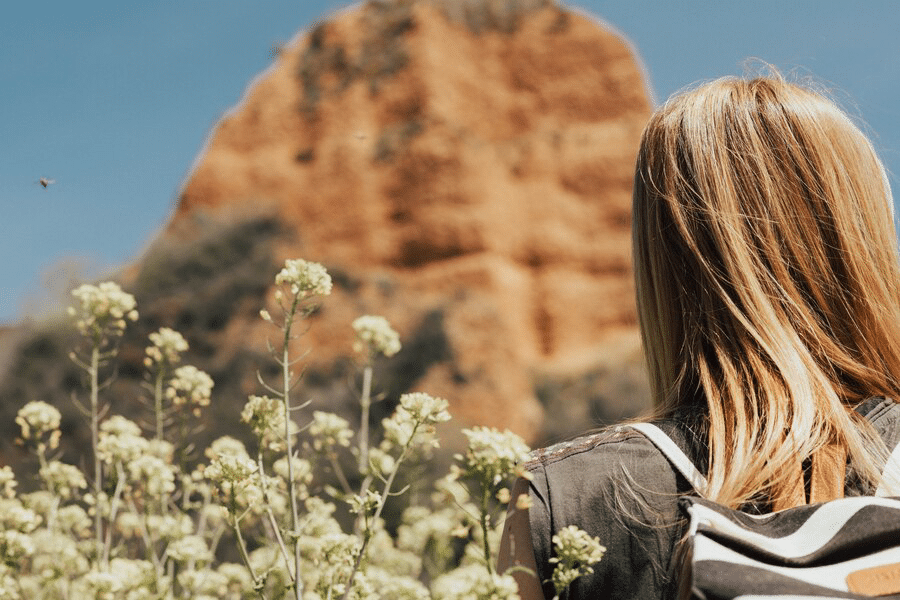 Sedona Excursions